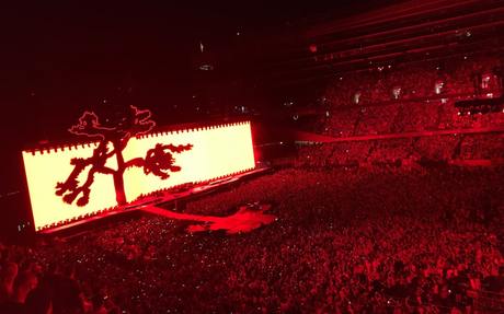 Living in the Shadow of U2’s Joshua Tree