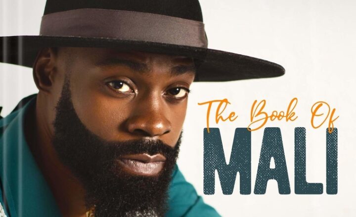 Mali Music’s Powerful Lament